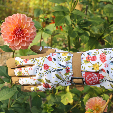 Plants + Gardening