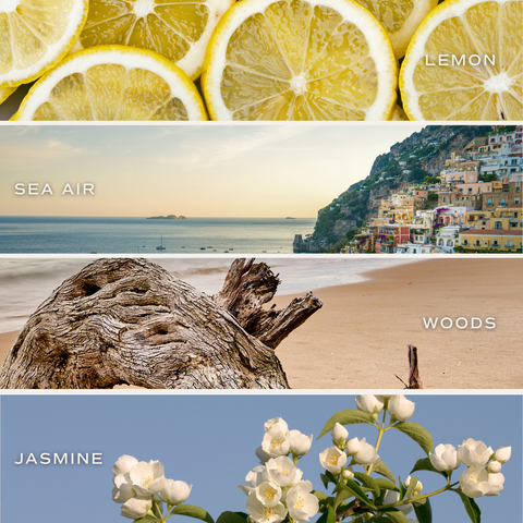 Coastal Lemon 9 oz Soy Candle - Home Decor & Gifts
