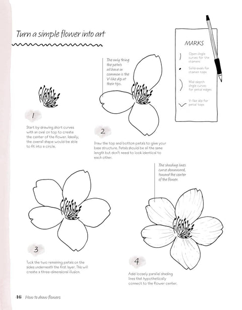 Easy Steps to Drawing Flowers - Lessons For Drawing