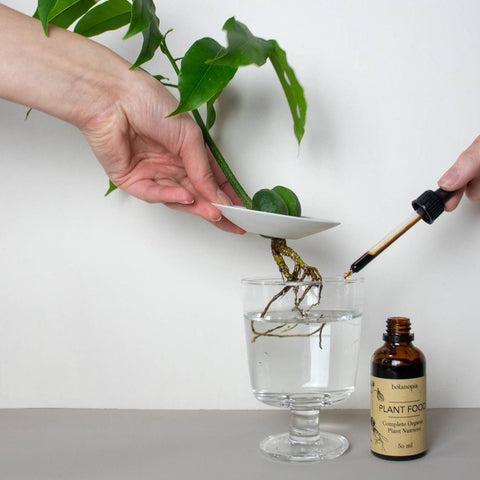 Complete Organic Plant Food