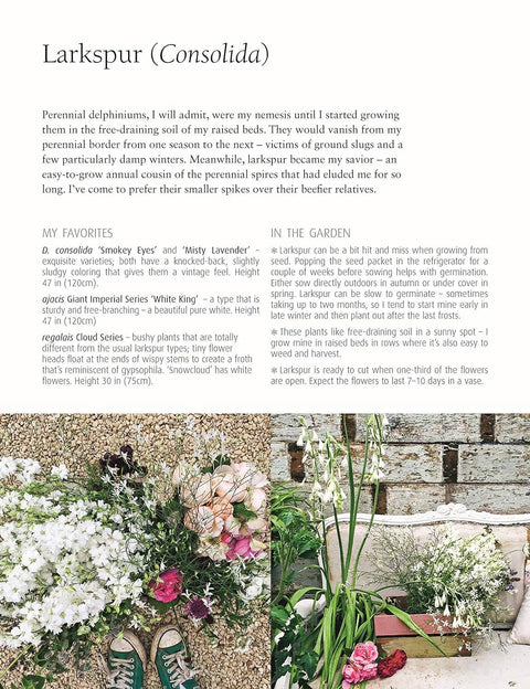 In Bloom - Growing, Harvesting, and Arranging Flowers