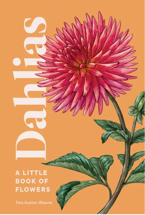A Little Book of Flowers: Dahlias