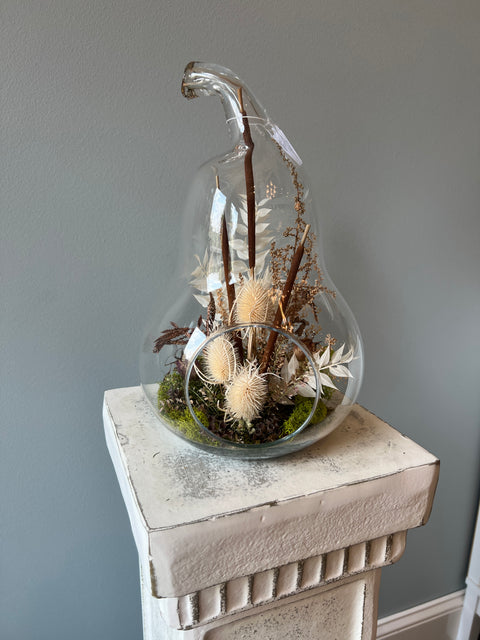 Pear Terrarium
