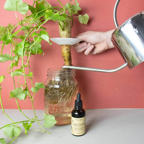 Complete Organic Plant Food