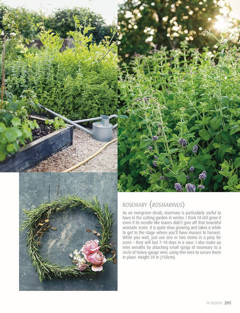 In Bloom - Growing, Harvesting, and Arranging Flowers