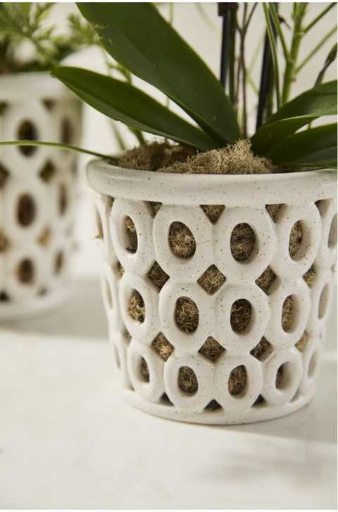 Orchid Pot
